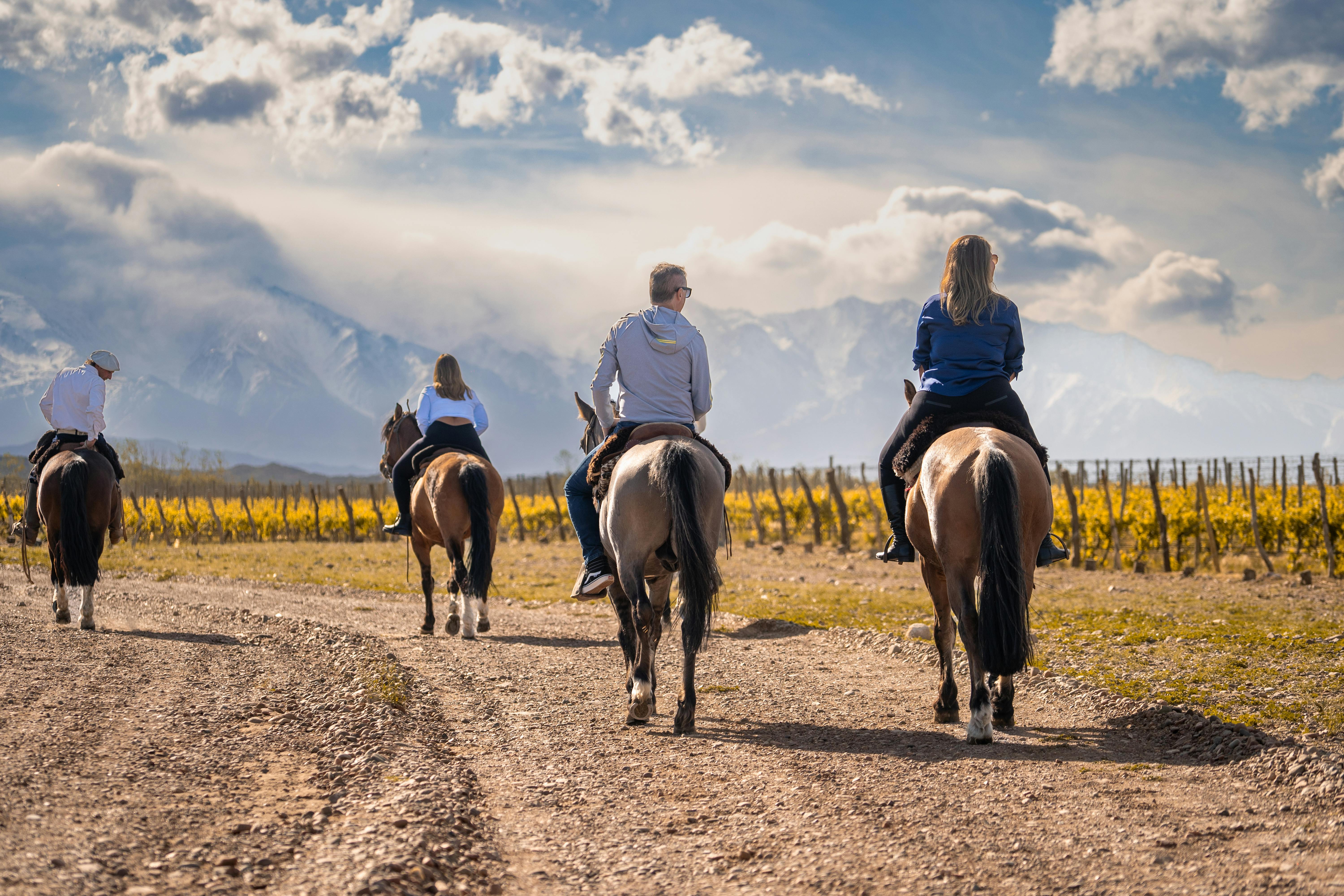 Balade à cheval
